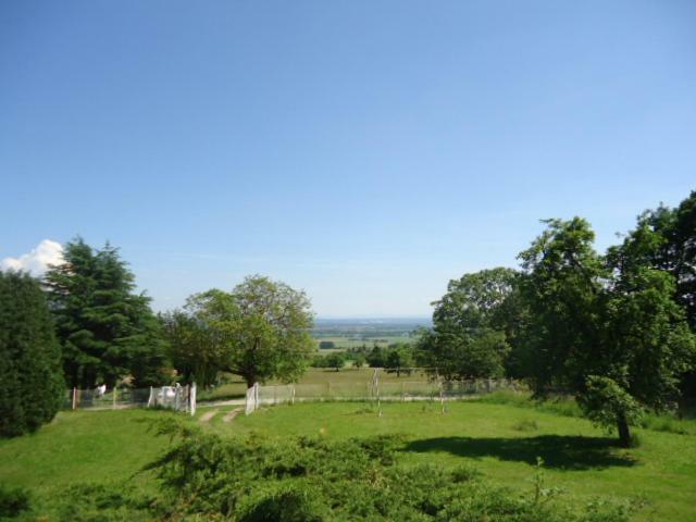 cottage pleine nature Wattwiller Esterno foto