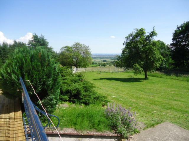 cottage pleine nature Wattwiller Esterno foto